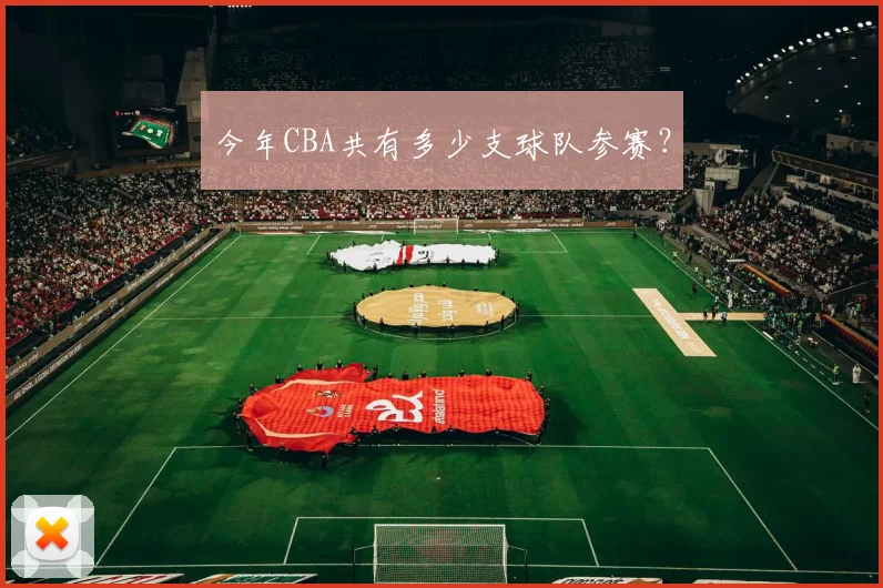 今年CBA共有多少支球队参赛？