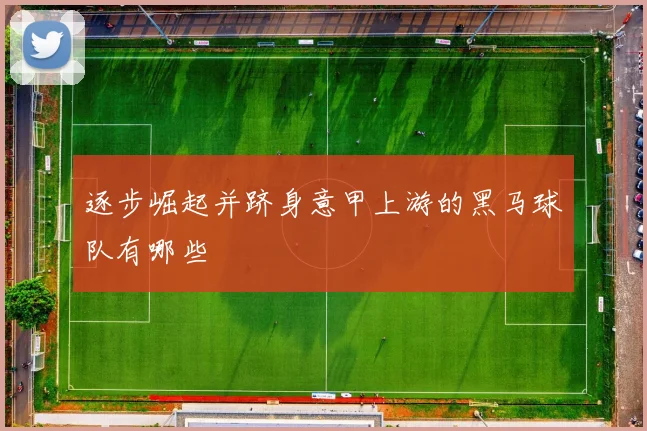 逐步崛起并跻身意甲上游的黑马球队有哪些