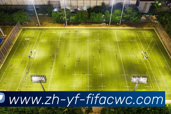 世界杯在线观看平台生态图