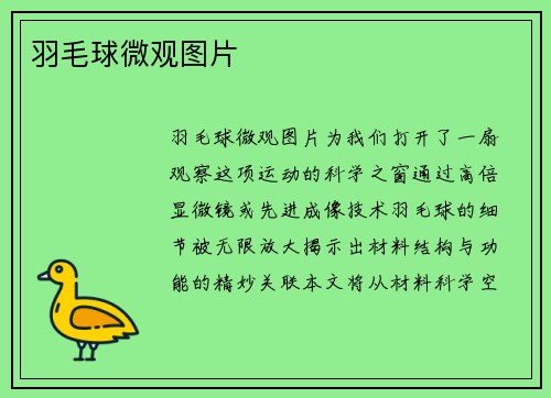 羽毛球微观图片