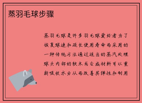 蒸羽毛球步骤